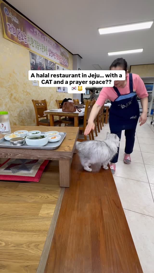 Amira Rahmat, Halal Bada Janchi Restaurant