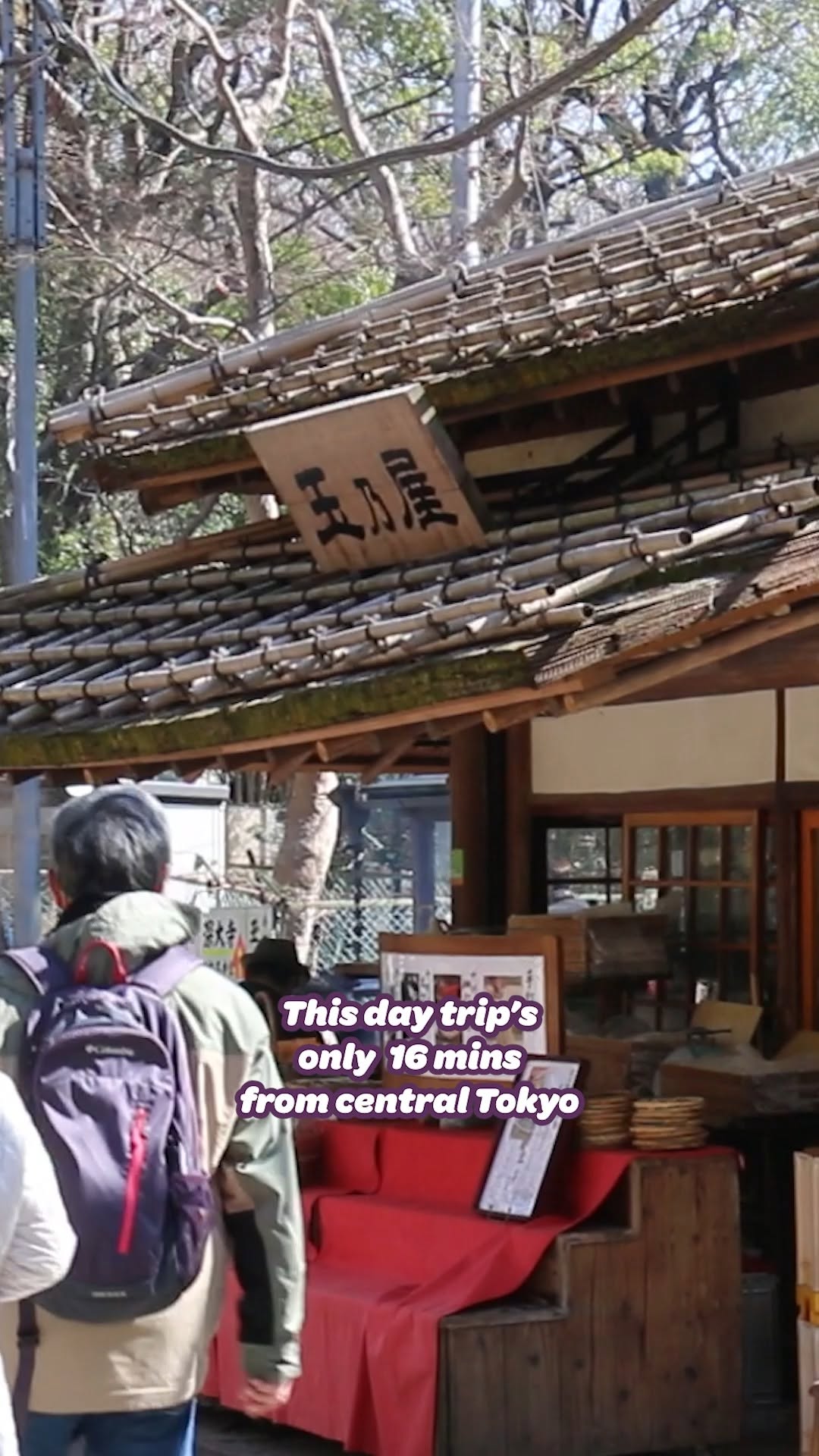 Amy - Japan Travel, Jindaiji Temple