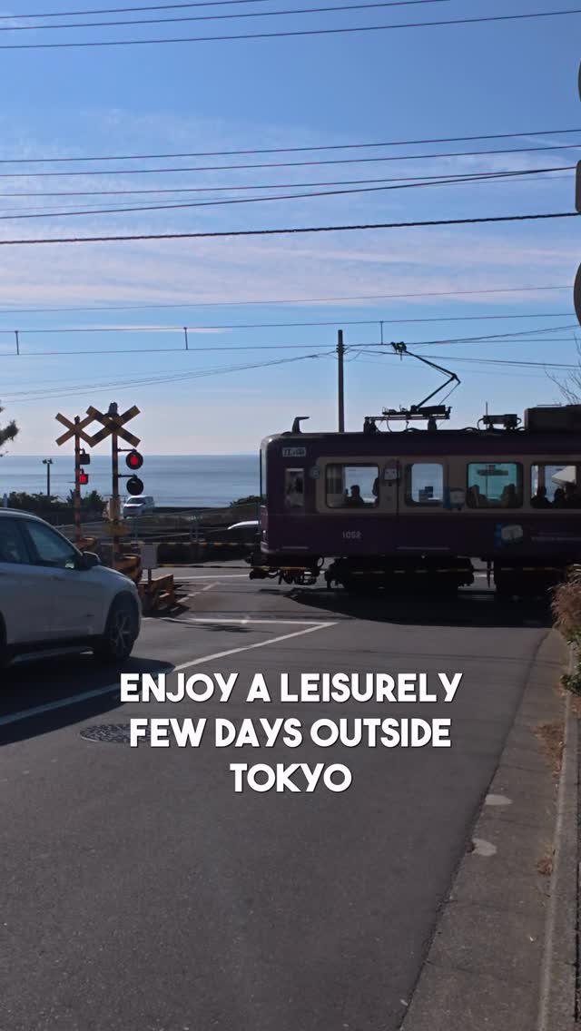 Odakyu Electric Railway, Kotoku-in