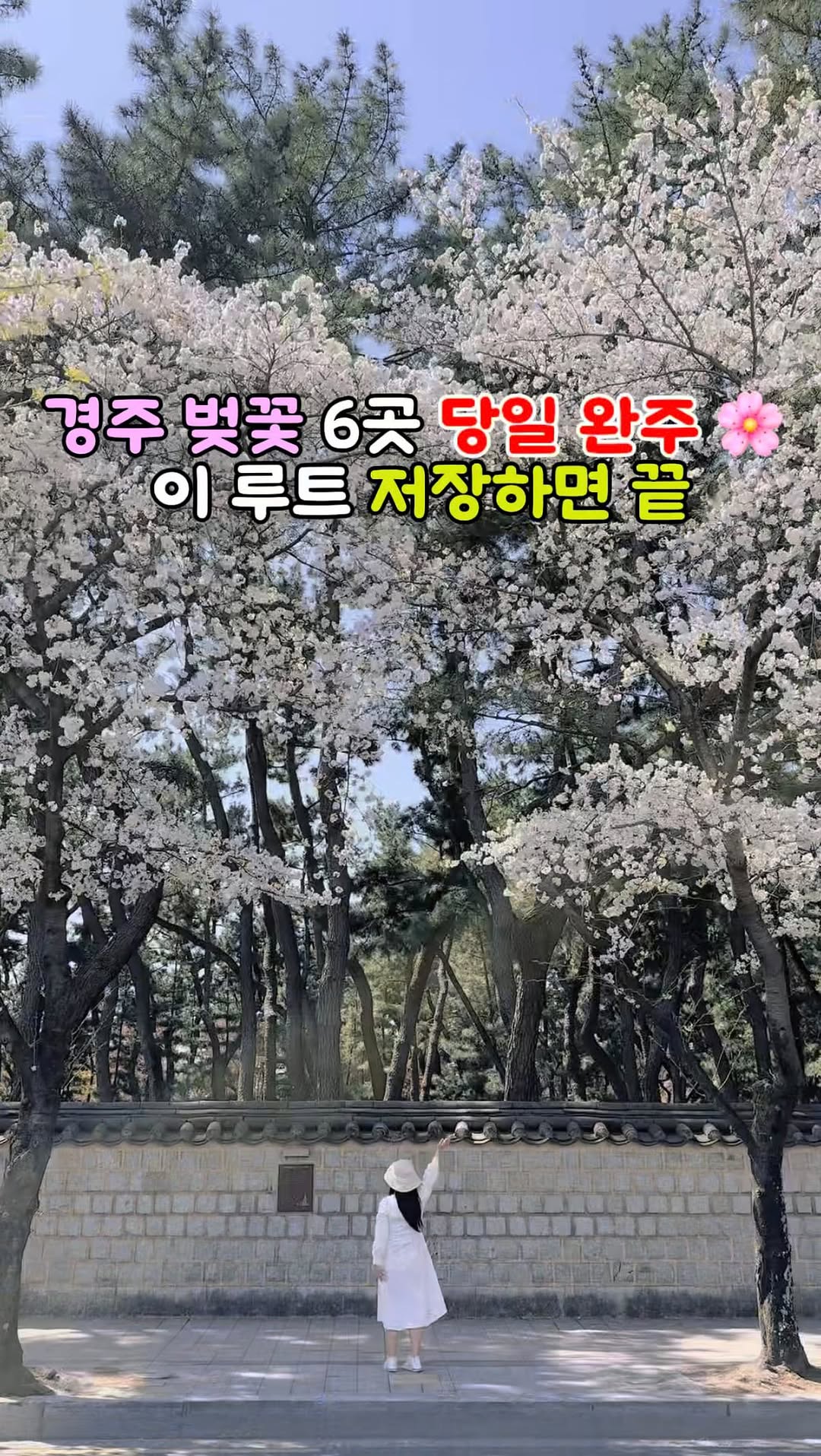 리안일상ㅣ부산여행, 핫플, 아이와여행, Bulguksa