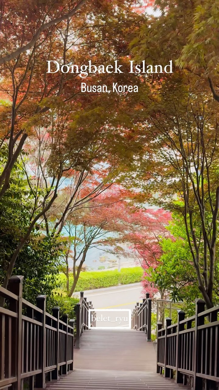 Belet Ryu, Dongbaekseom