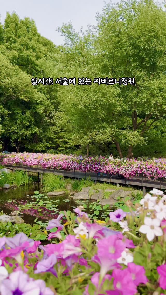 깡미니 / 여행, Buramsan Butterfly Garden