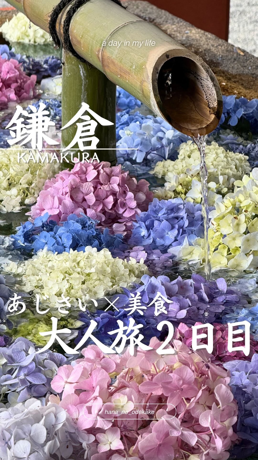 hana ⌇首都圏発お出かけ日記, Tsurugaoka Hachimangu