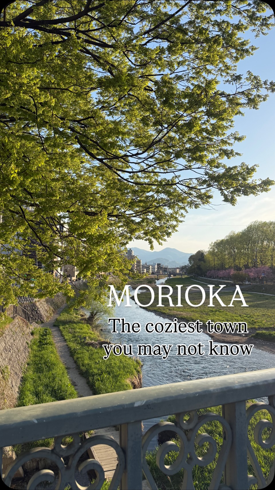 𝑀𝑖𝑐ℎ𝑒𝑙𝑙𝑒 𝐻𝑜𝑛𝑑𝑎, AZUMAYA Honten