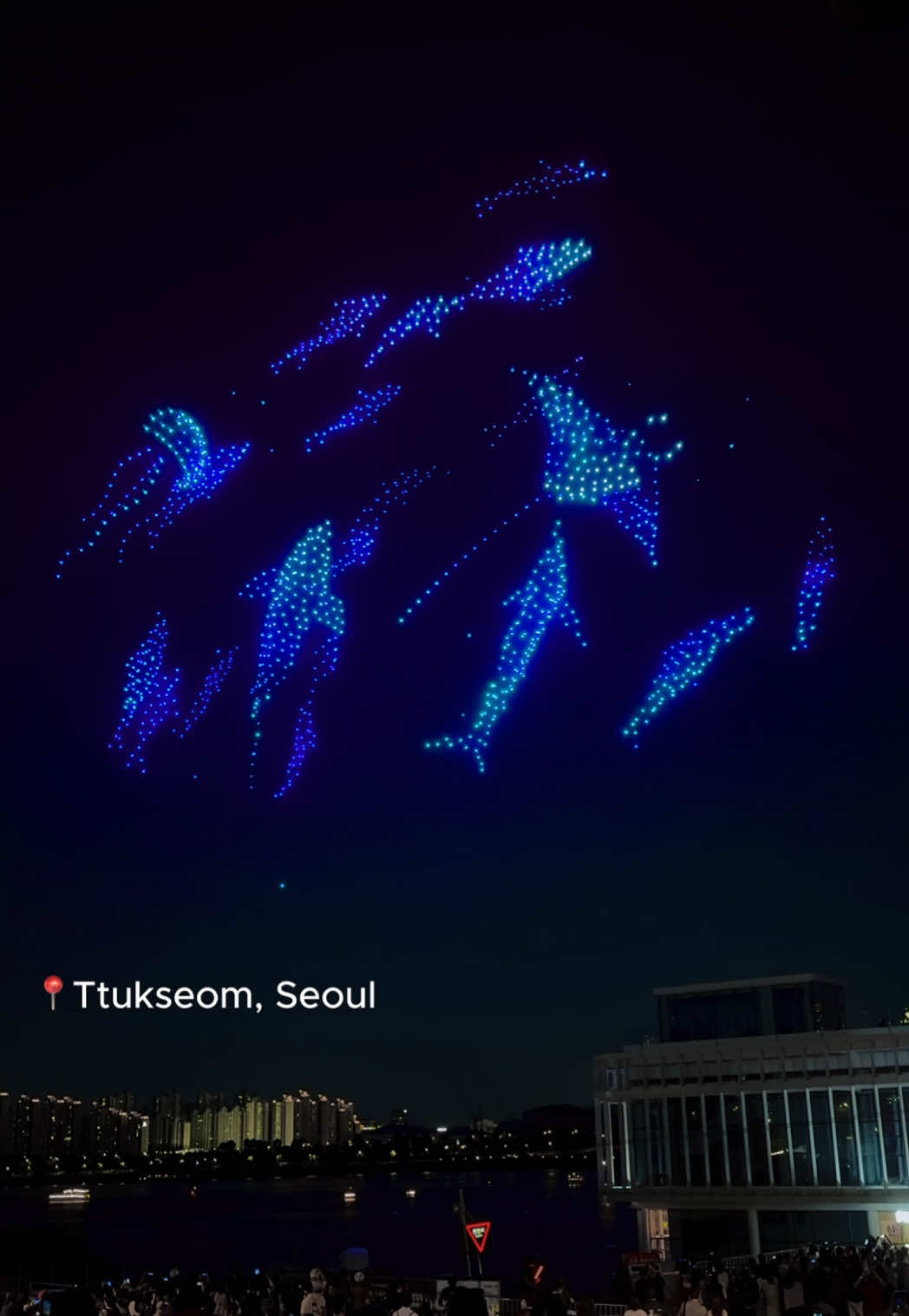 Seoul_diary, Yeouido Hangang Park