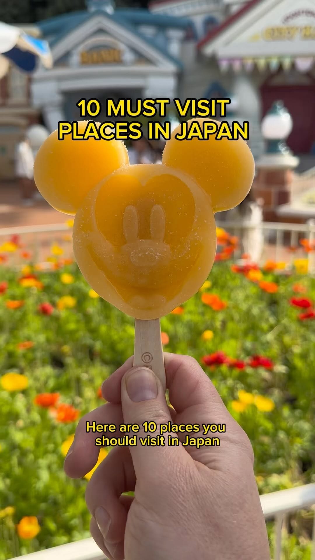Andrew Levins / DJ Levins, Tokyo Disneyland