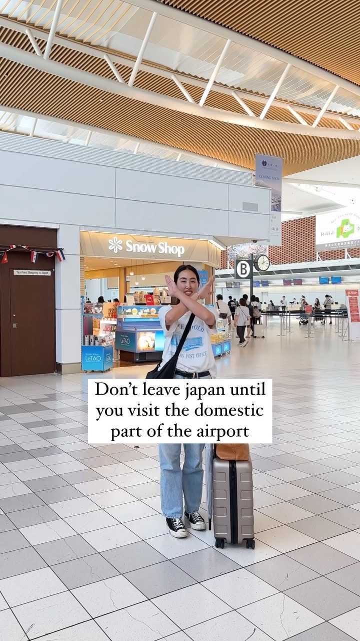 Sam is Home | Hong Kong, New Chitose Airport