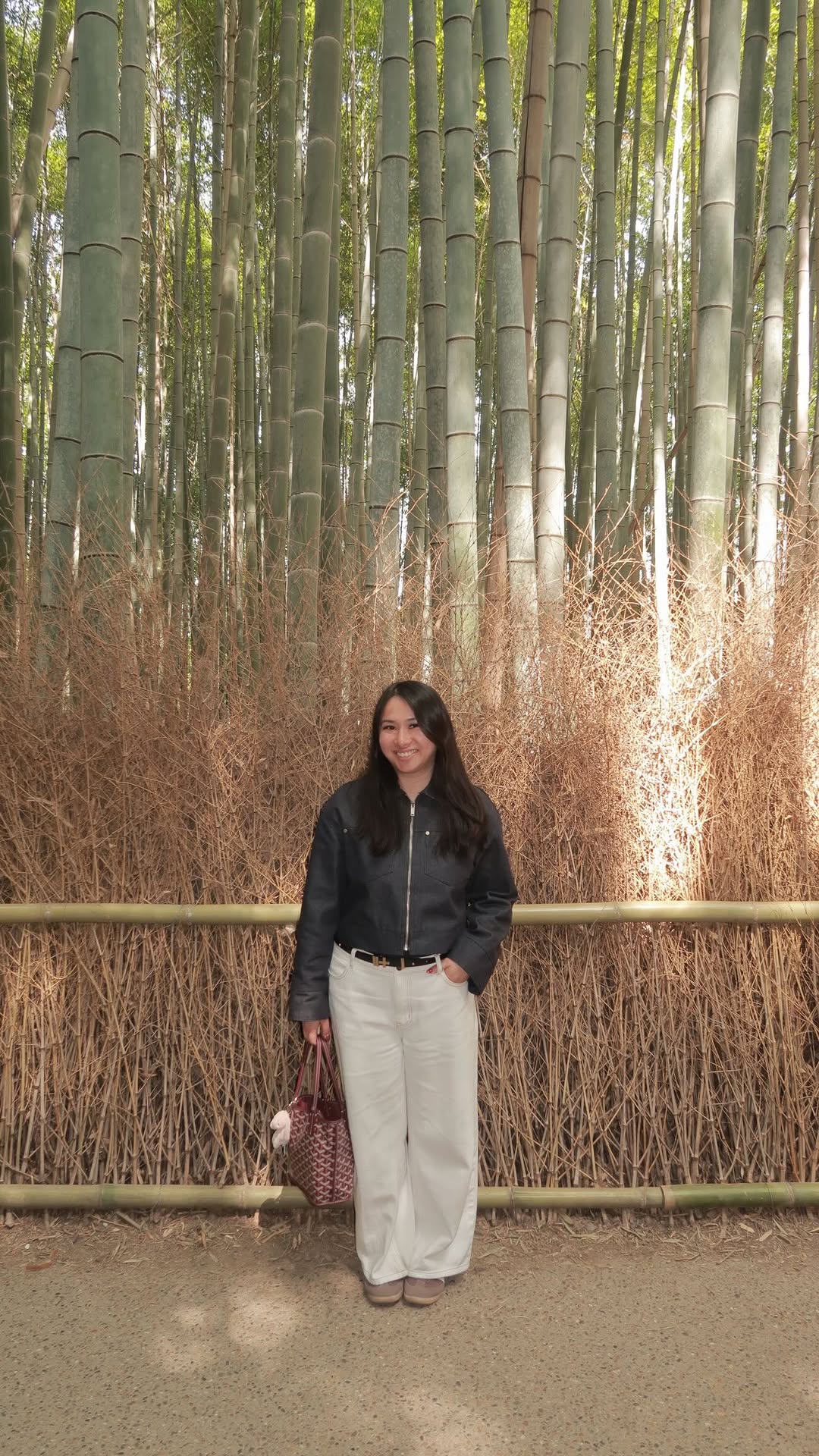 aniva, Arashiyama Bamboo Forest