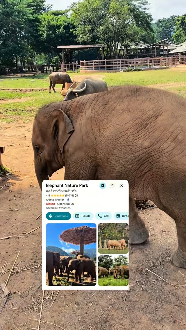 Zoe || South East Asia Travel Tips 🌏🎒🥥🌴, Doi Inthanon National Park