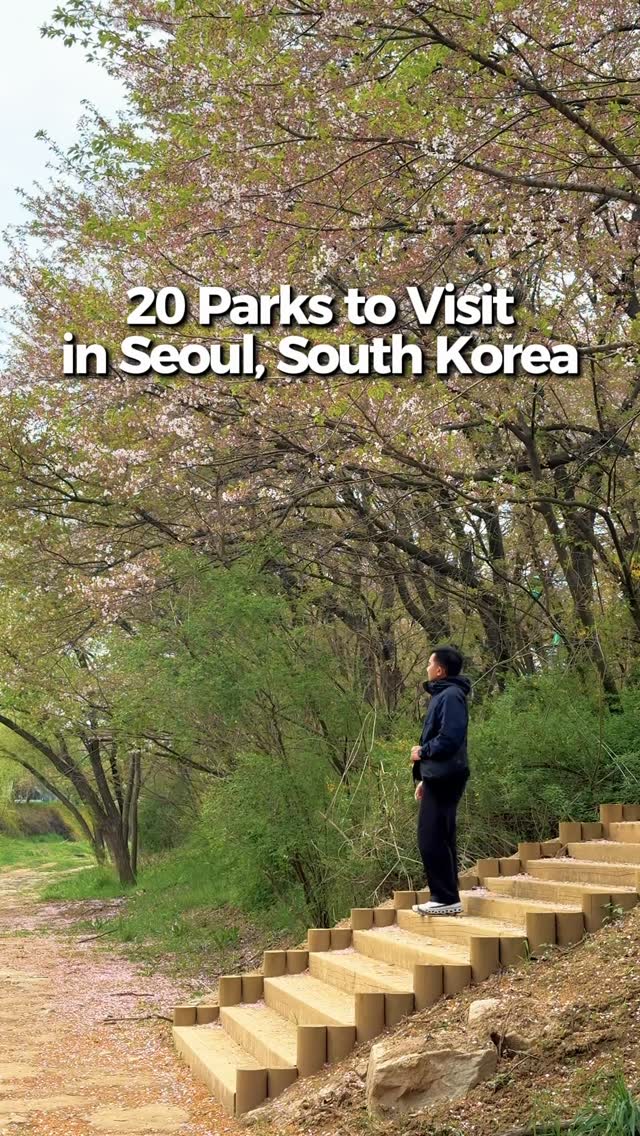 Denver Choi, Gyeongbokgung Palace