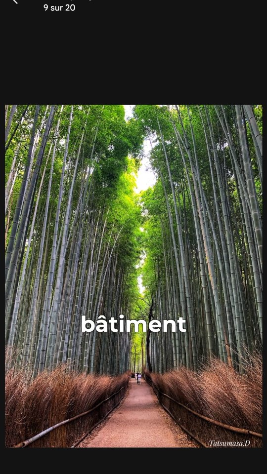 Clément Richard, Arashiyama Bamboo Forest