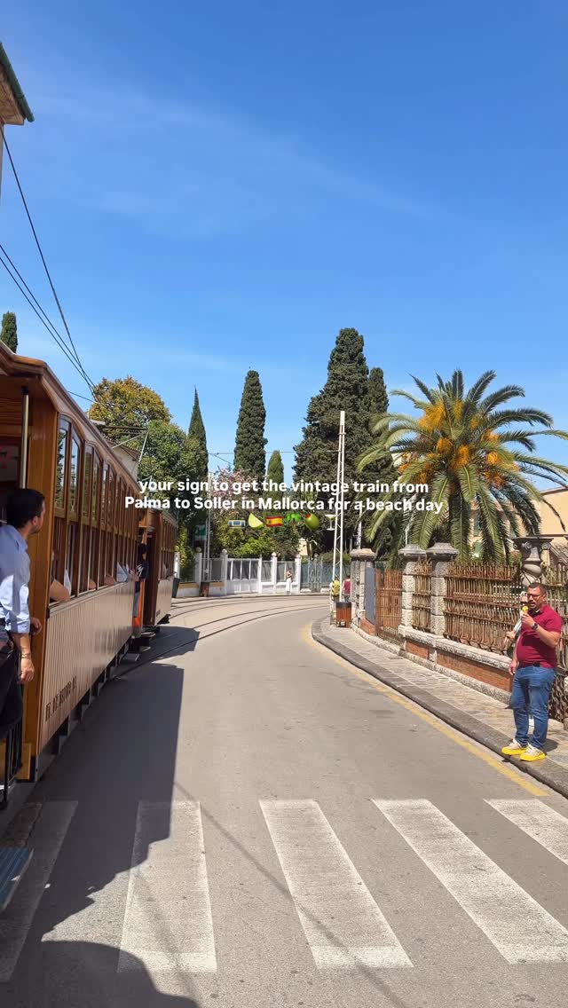 Char, Palma