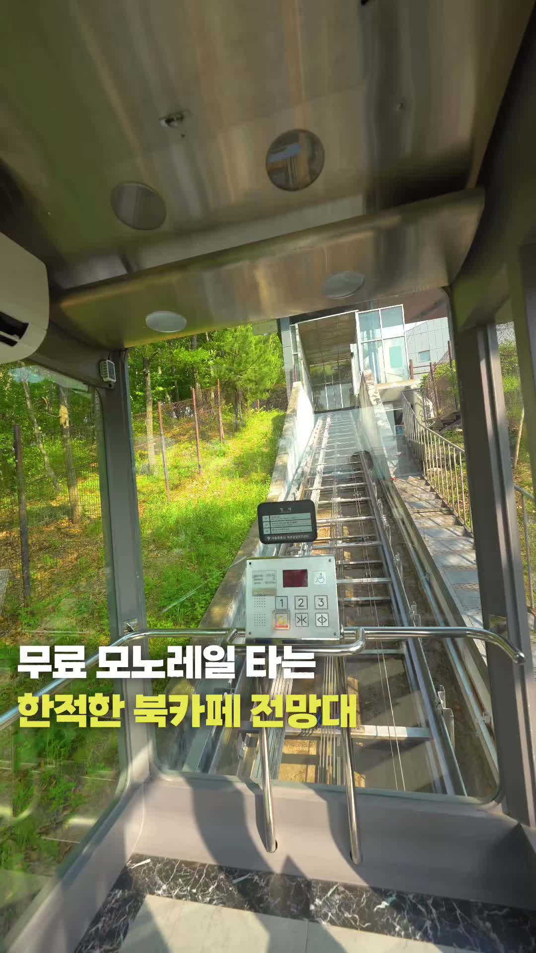 여행기자, Dream Forest