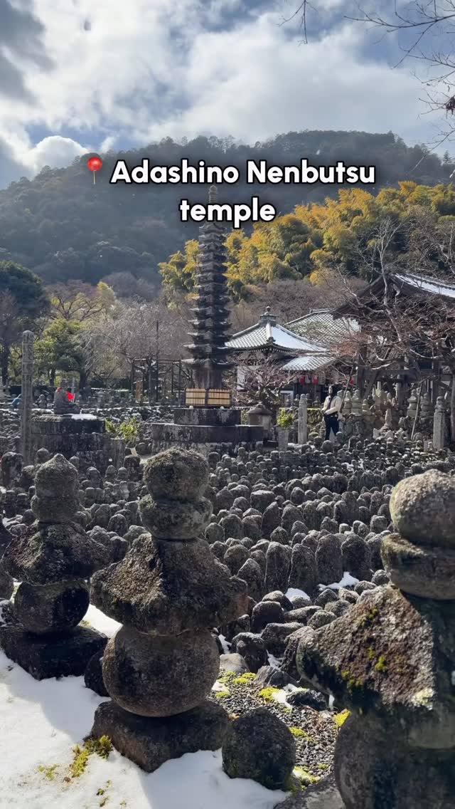 Tours in Japan - TOMOGO!, Arashiyama Bamboo Forest