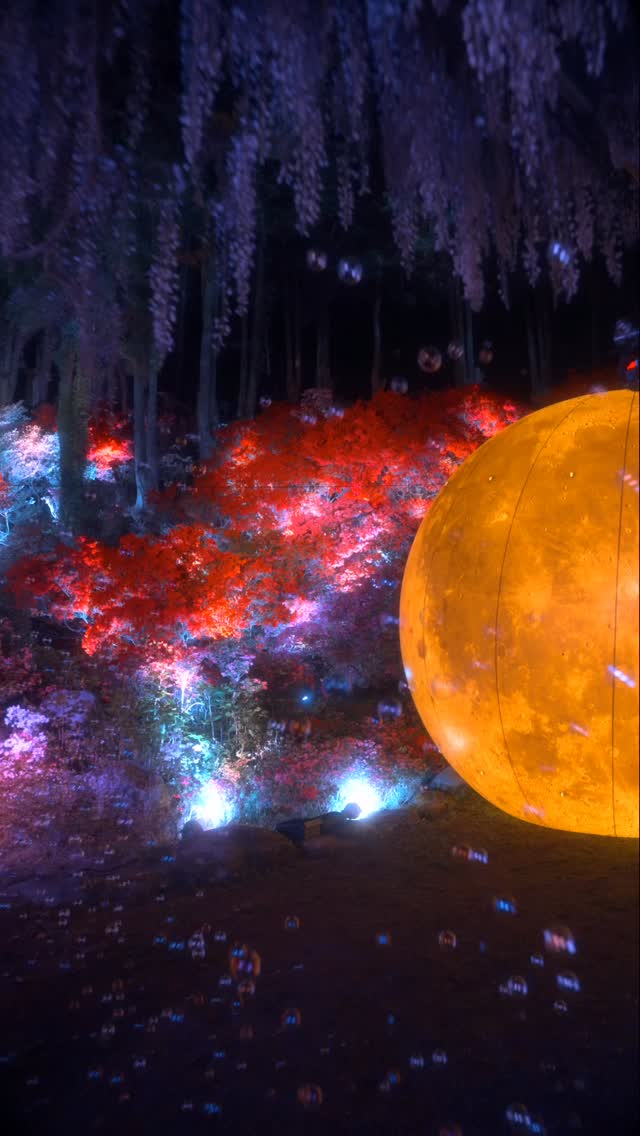 GAWARA / kenichi_nakagawara, Ohori Park
