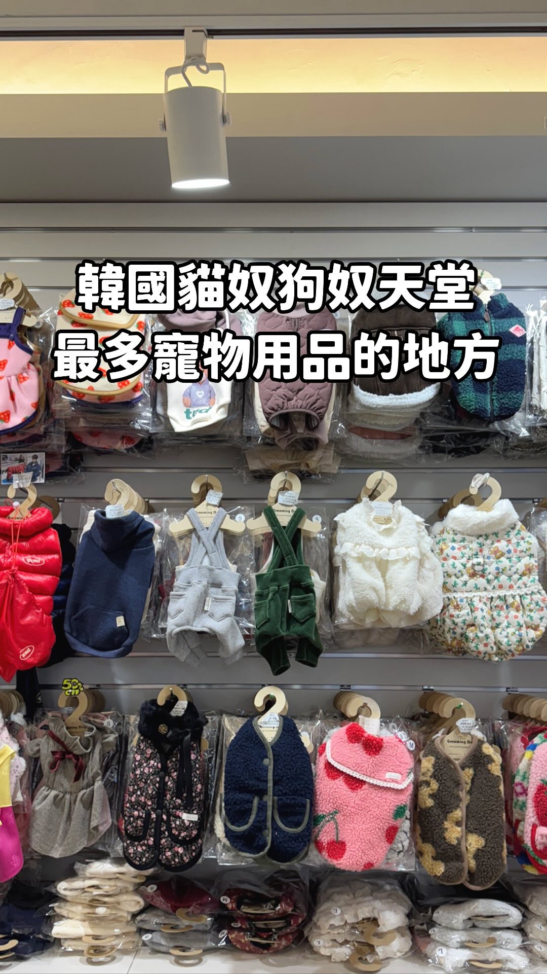 張張 🦔, Namdaemun Market