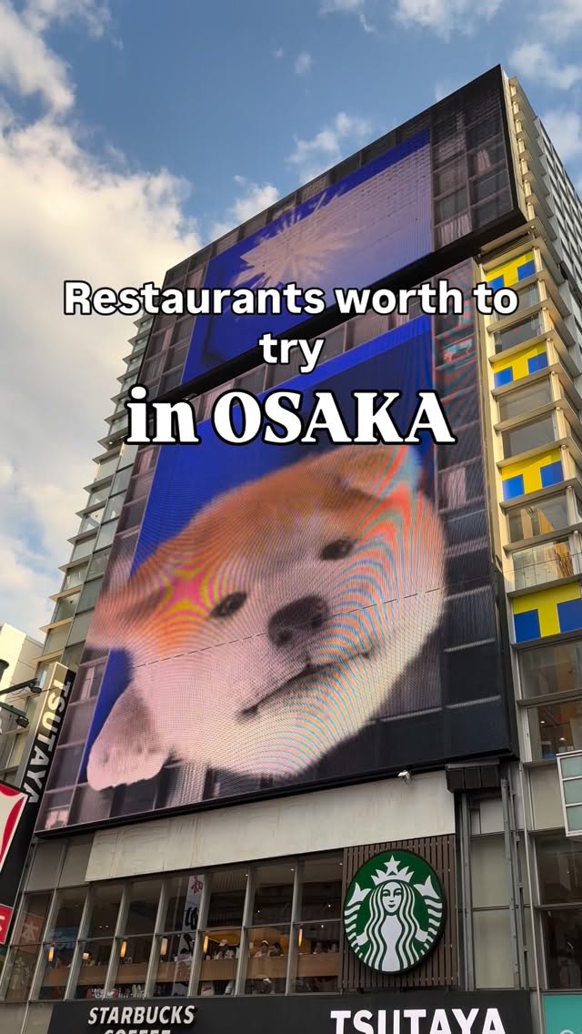 No SPICY Food traveler🌶️, Dotonbori