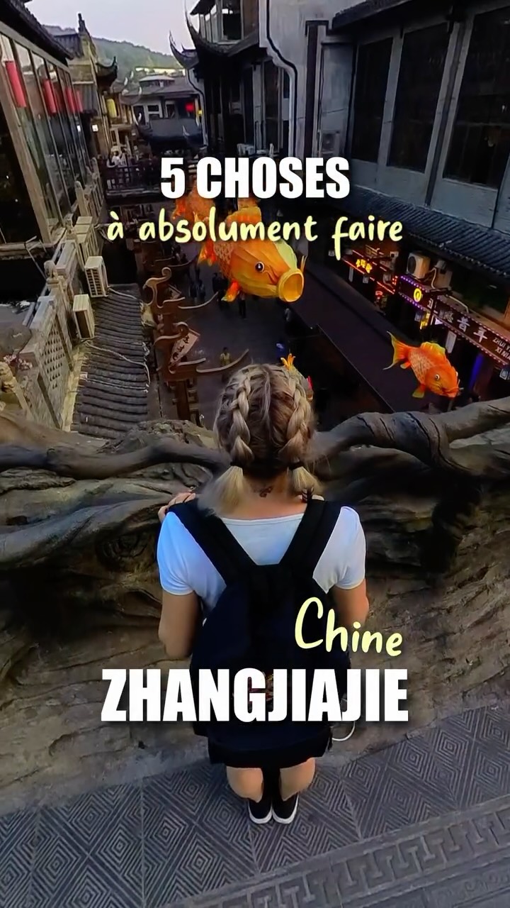 Julie Theory | Voyage Japon 🇯🇵 Corée 🇰🇷 Chine 🇨🇳, Tianmen Mountain