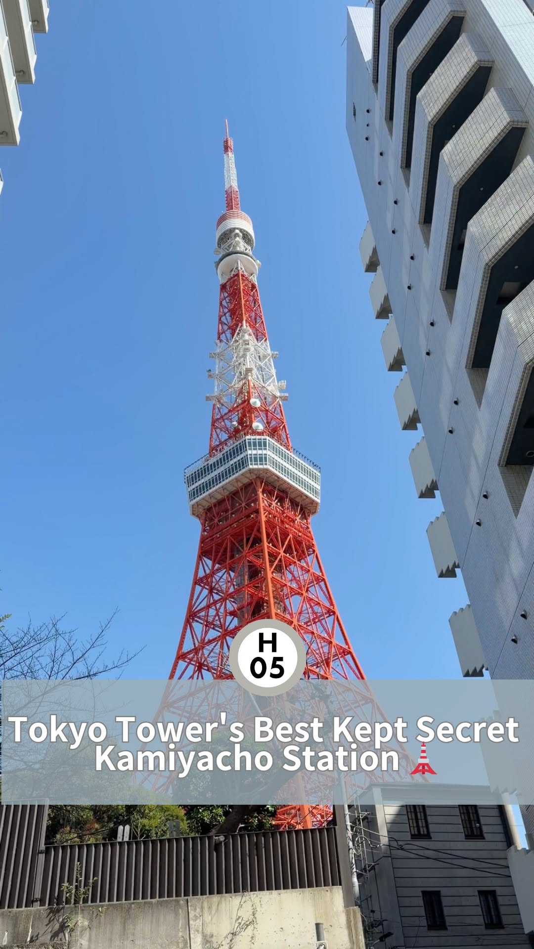Tokyo Trend Trip, Tokyo Tower