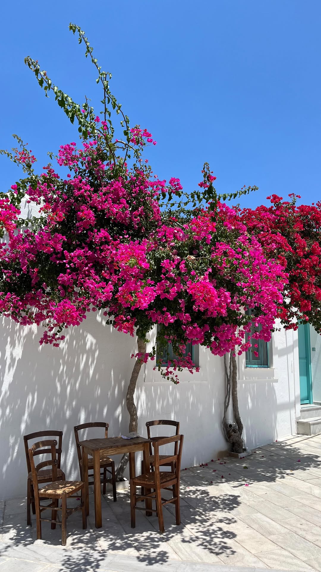 Travel Elle 🇬🇧 Content Creator 🇨🇦, Athens