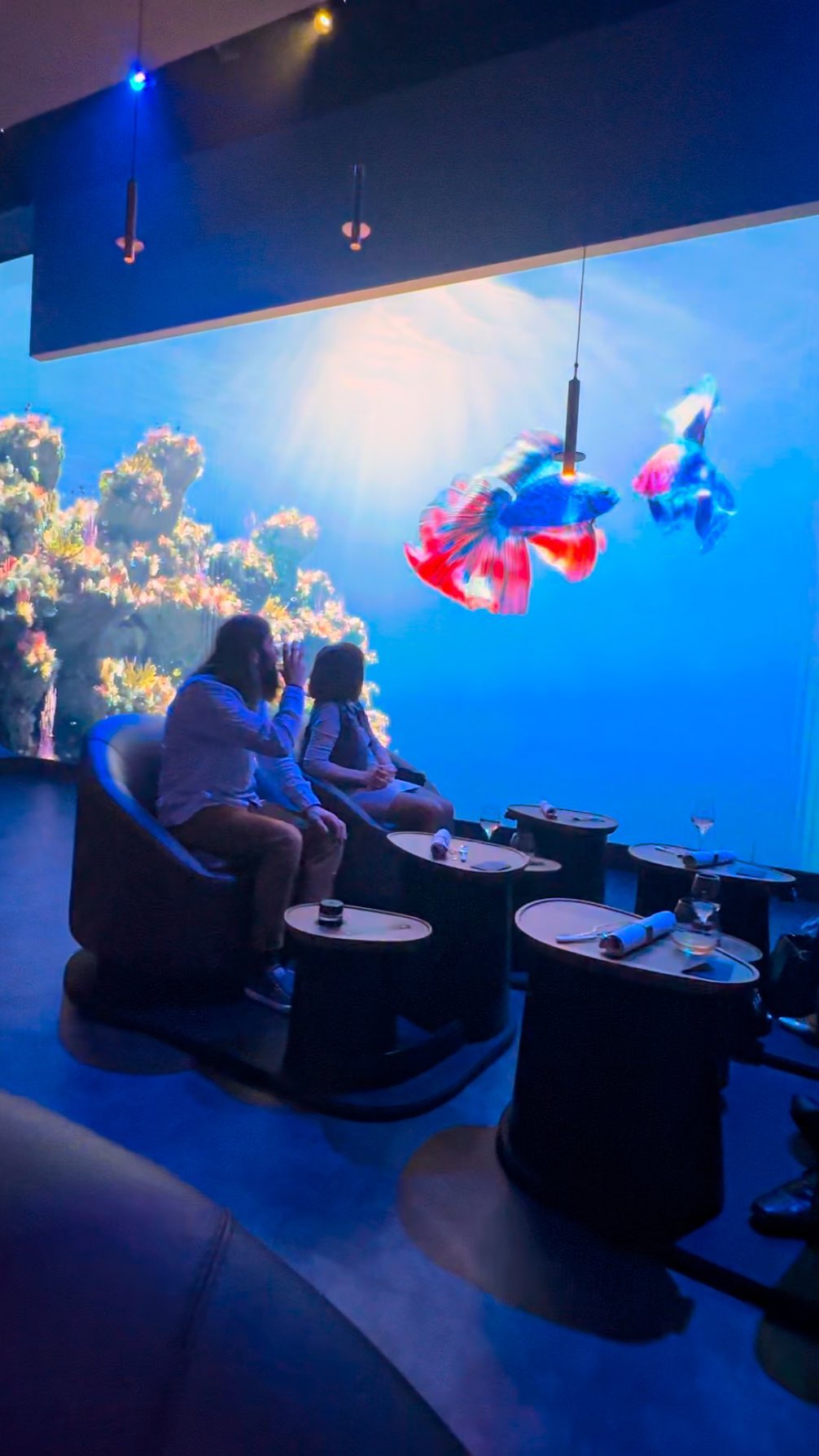 Theme Park Explorers, Europa-Park