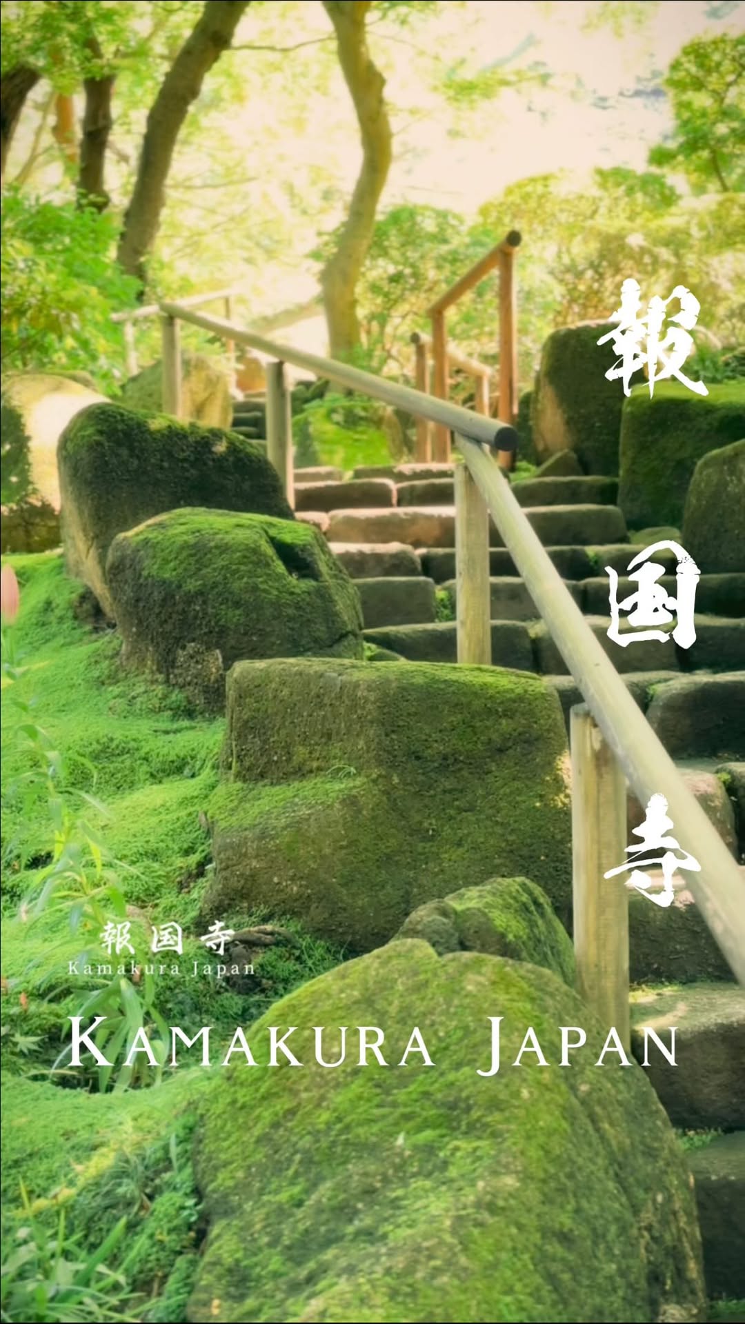 Japan Travel 🇯🇵👘🍣⛩️🌸, 報国寺