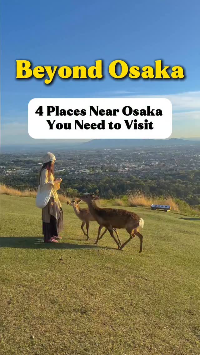 Japan Travel-Ryan, Nara Park