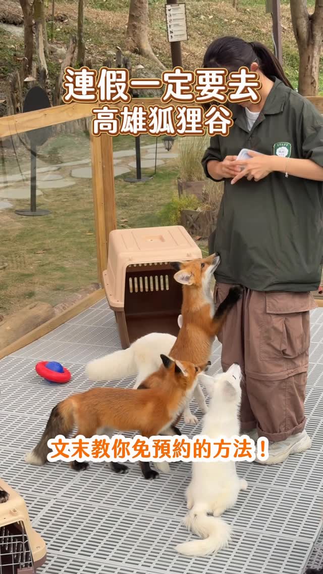 𝘾𝙝𝙞綺綺·全台美食x住宿分享x北中南東都開箱, 野森動物學校