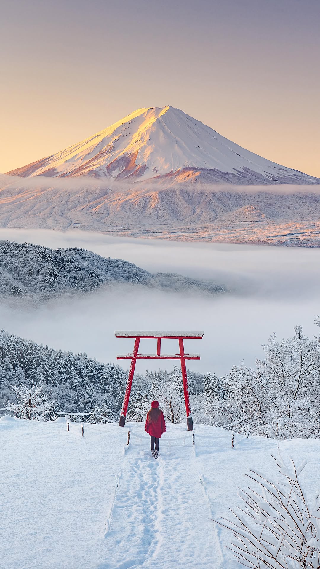 Kyoko  Ueda / Japan Travel, Mount Fuji