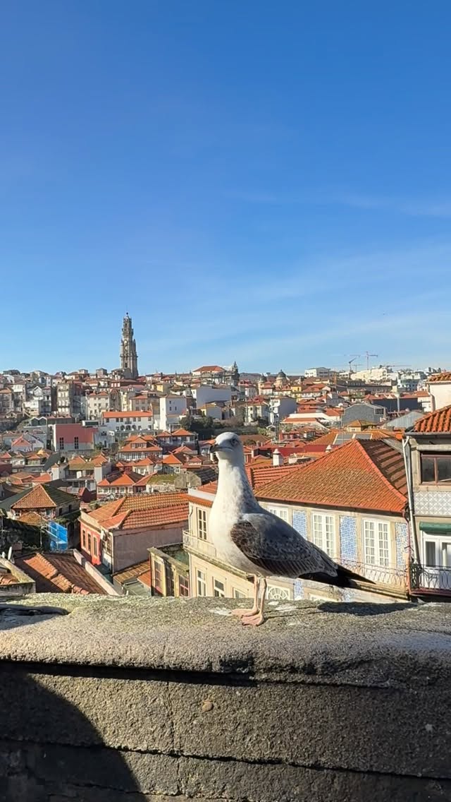 Lisette Creuxquette, Porto Cathedral
