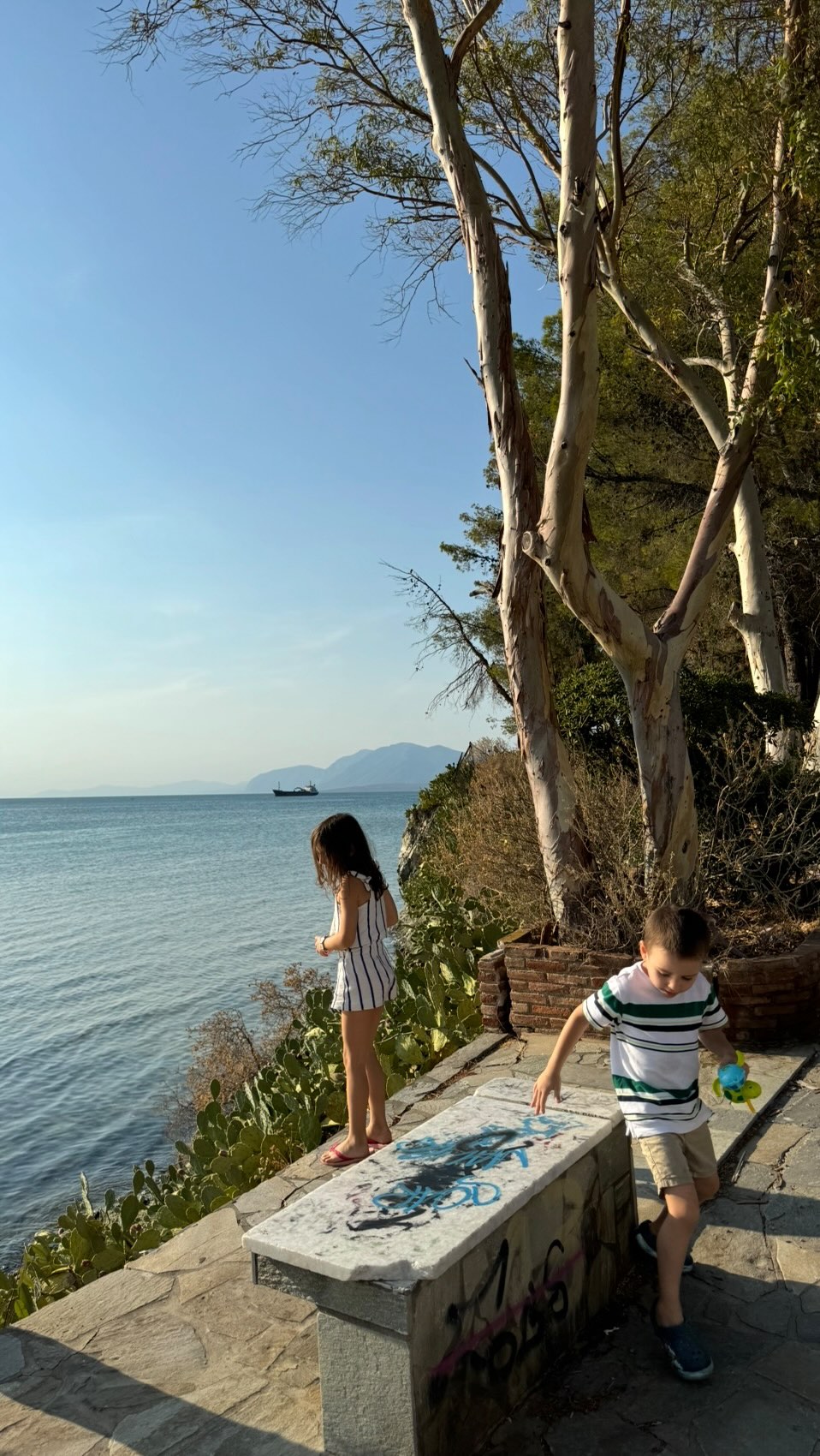 Vanessa Milianou, Lighthouse Avlidas