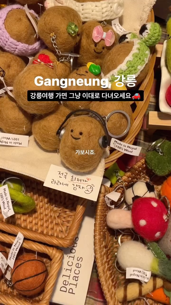 현생 વ자̆̈ગ너 뭉꒰⍤꒱ ༘*✴︎ | Bag Designer, Gyeongpo Beach