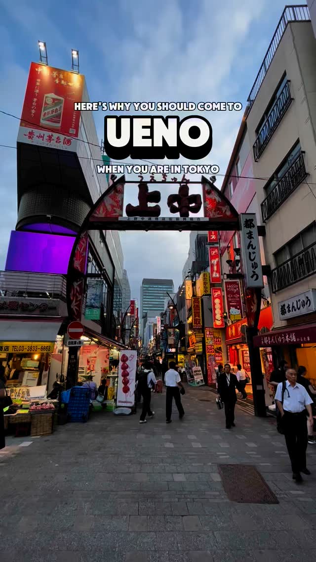 NANI?! なに, Ueno Park