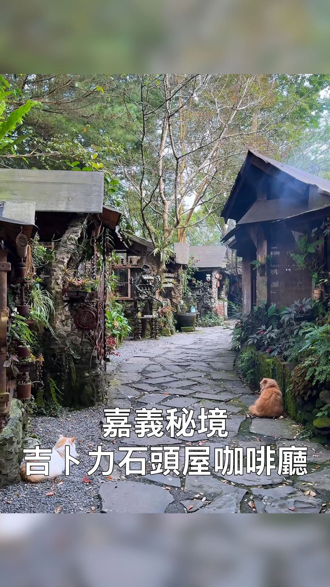 樂冠廷 阿樂╵景點╵旅遊╵住宿╵美食╵日本旅遊, Alishan