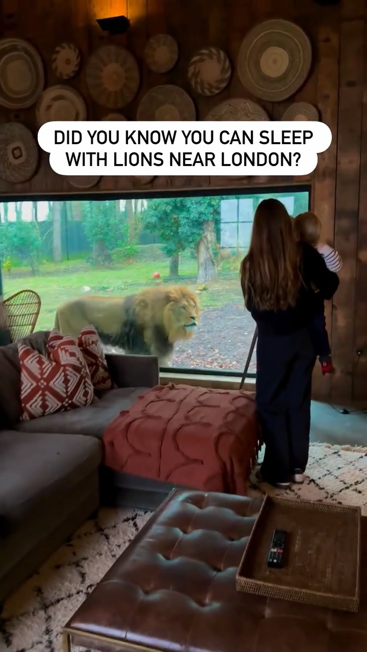 London Family Days Out, Port Lympne Safari Park
