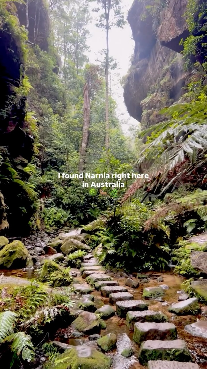 Jade | travel & stays content creator, Grand Canyon Walking Track