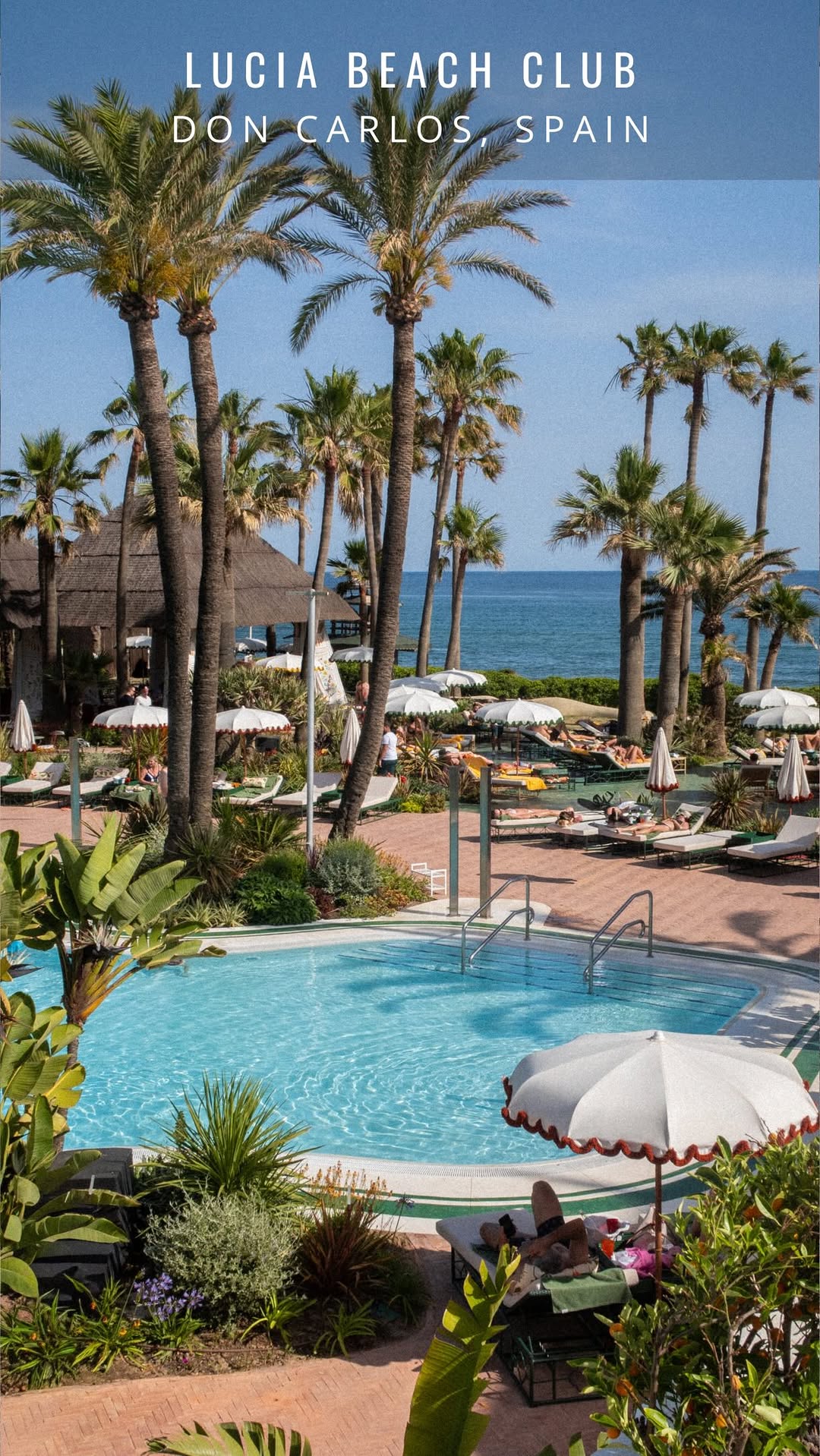 Shway • NYC Travel & Fashion, Cannes