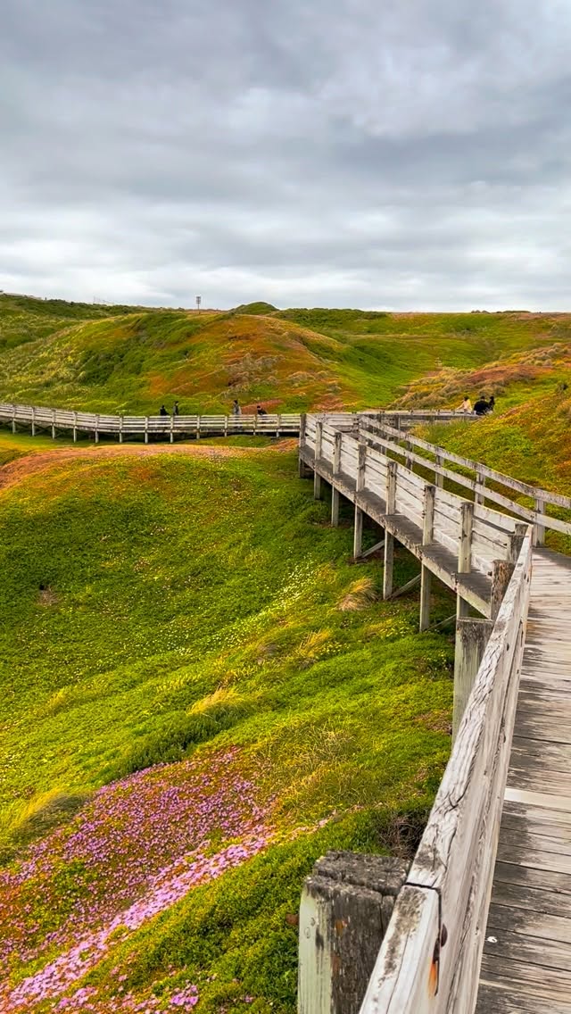 Prateek Goel, Phillip Island