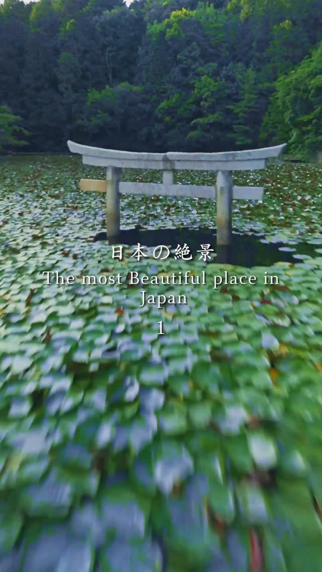 𝗥𝗲𝗼🎥𝗧𝗿𝗮𝘃𝗲𝗹 𝗝𝗮𝗽𝗮𝗻🇯🇵, Kirishima Jingu