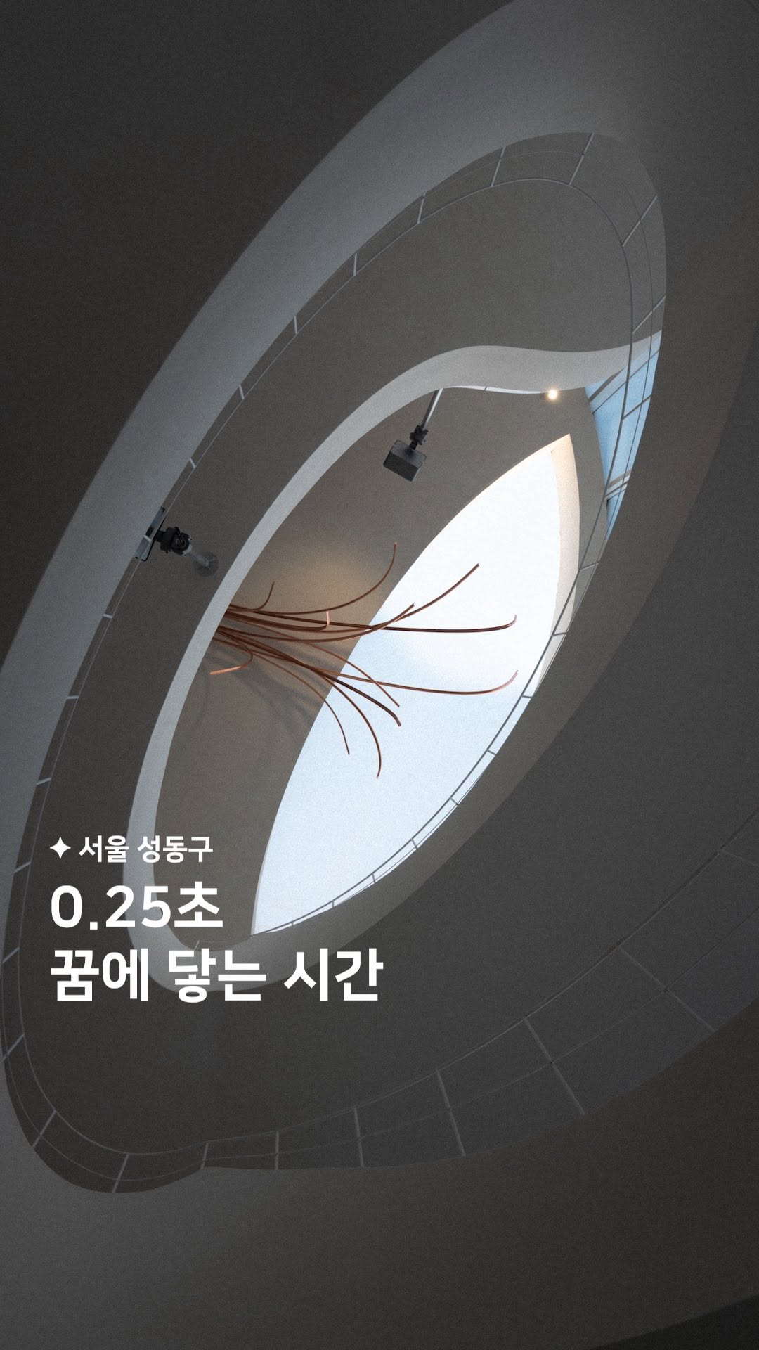 해빗 ✦ 카페 • 공간, Ttukseom