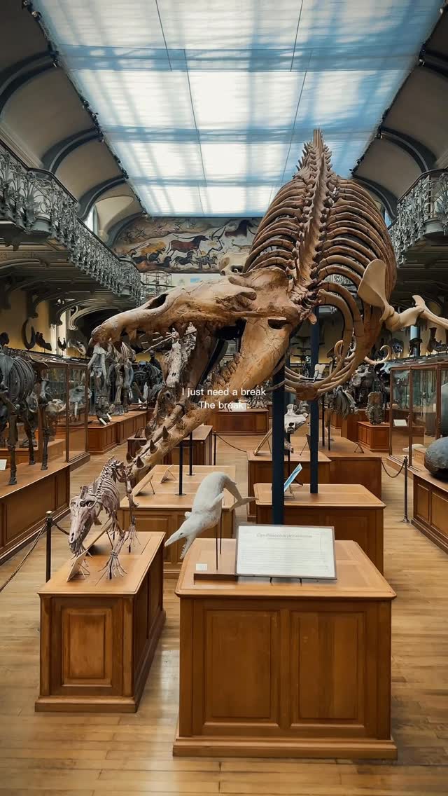 Michael Adair, Galerie de Paléontologie et d’Anatomie comparée