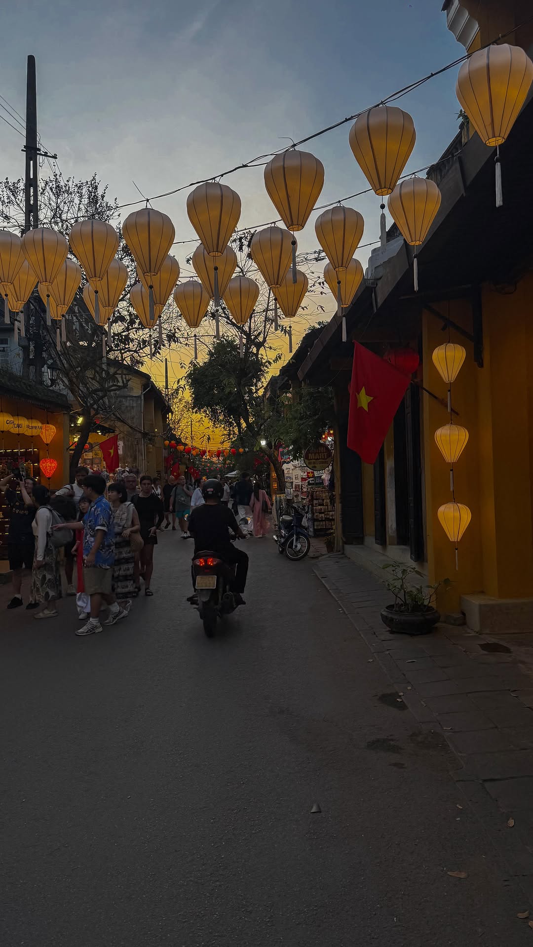 Lydia🤍, Hoi An Market