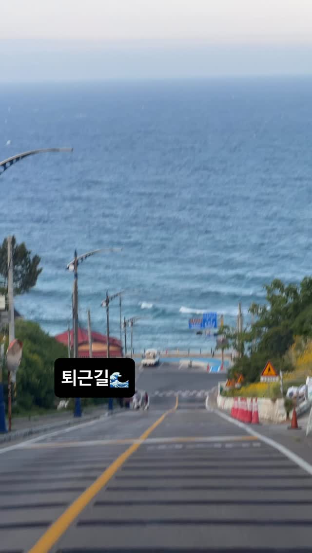 훈민정식🍚, Donghae-si