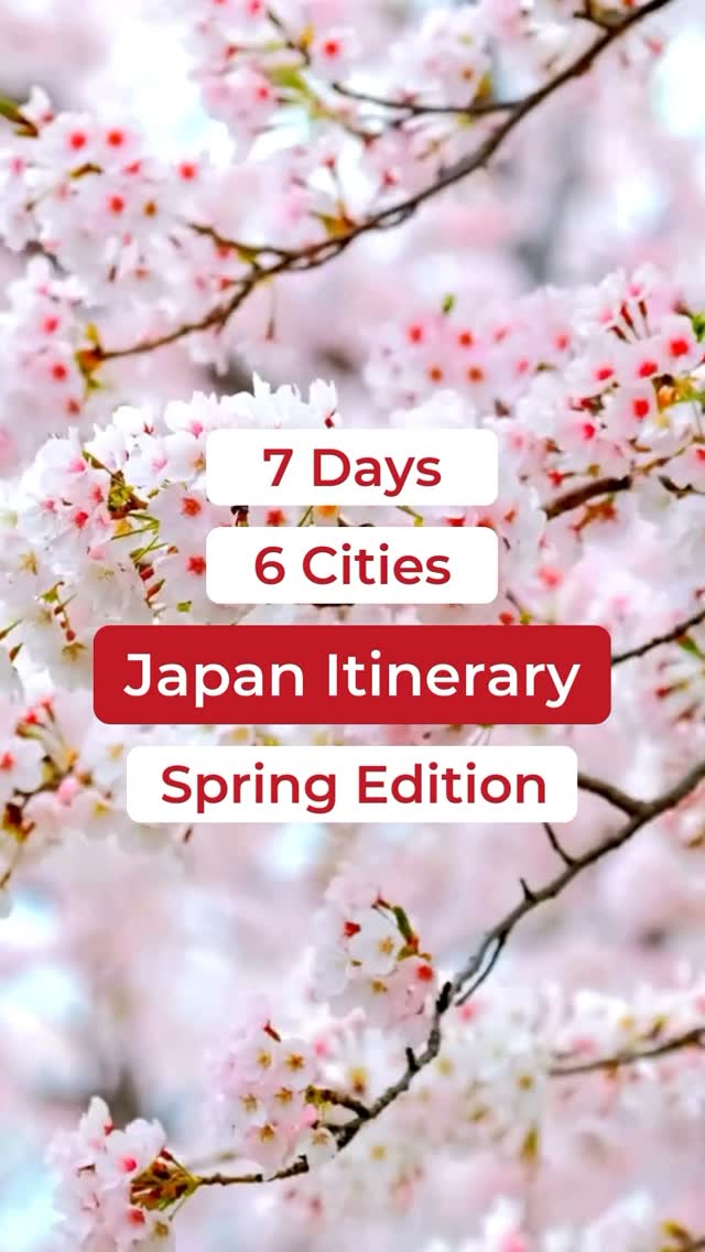 Japan Travel & Life Guide 🇯🇵, Kiyomizu-dera