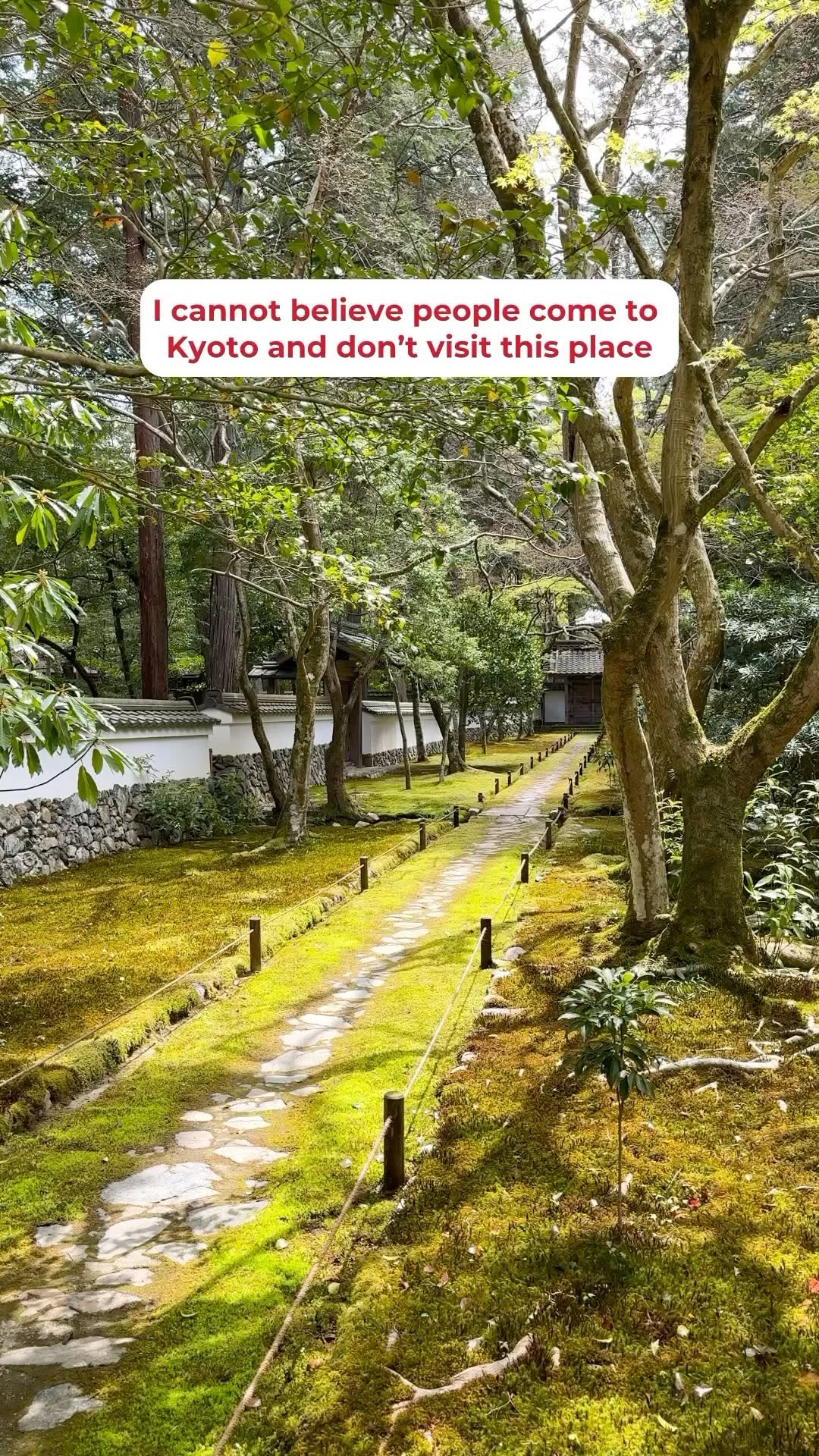 Japan Travel & Life Guide 🇯🇵, Fushimi Inari Taisha