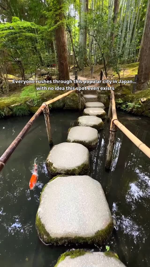 ANANYA RAY, Yasaka Jinja