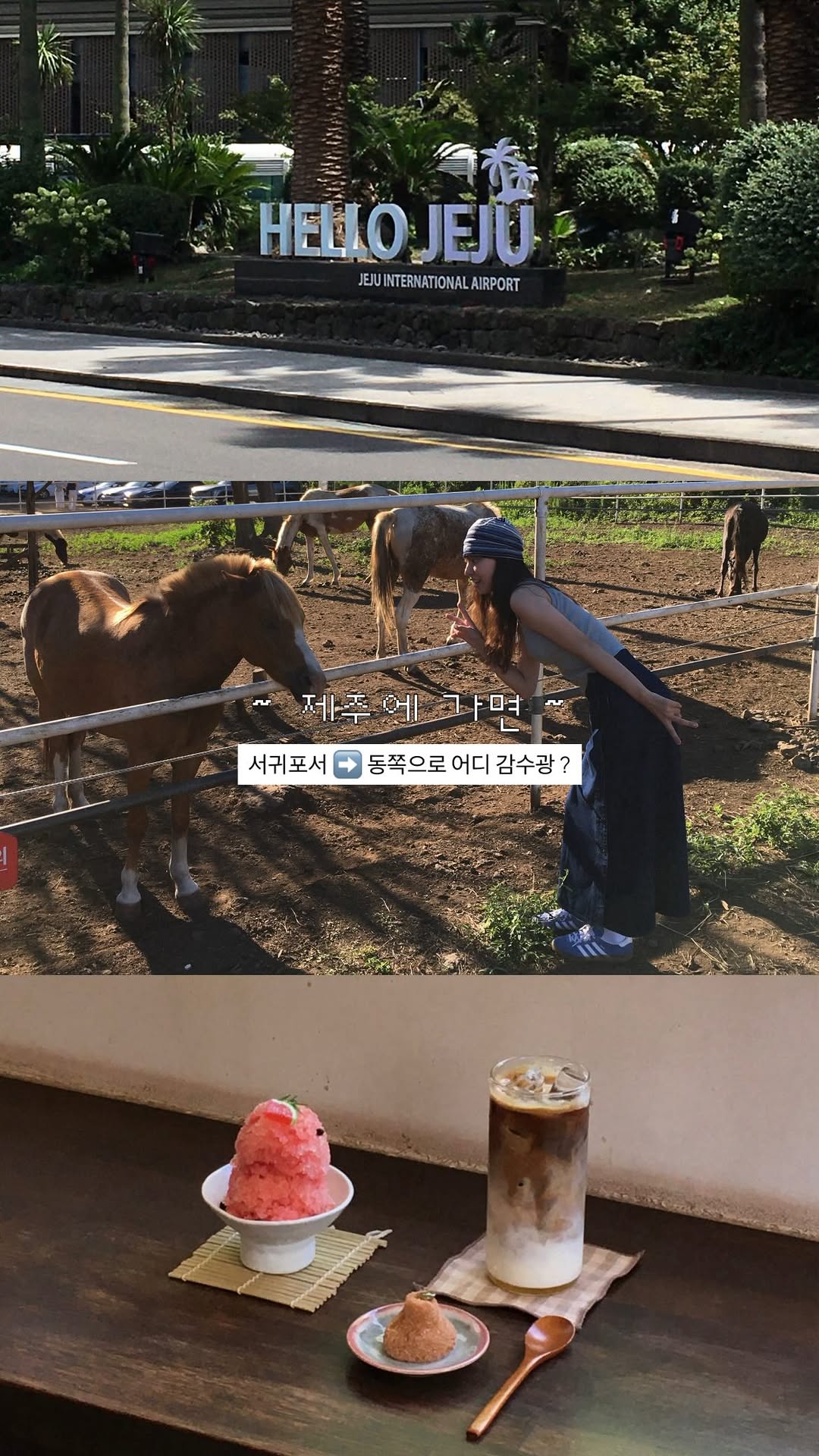 다라이 | 부산카페, 일상, Bijarim Forest
