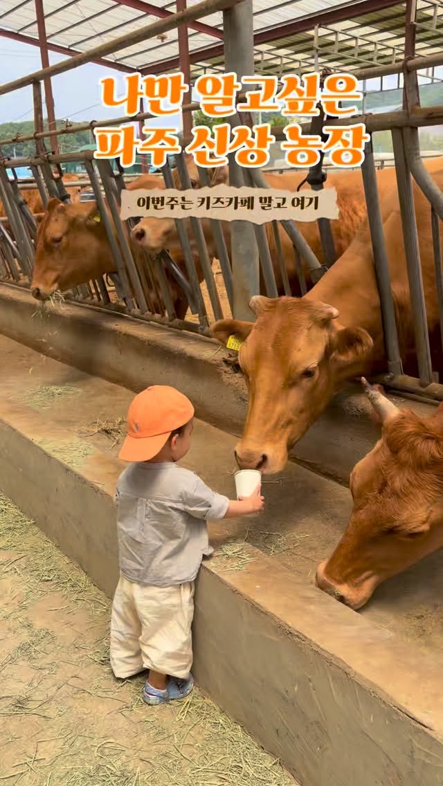 아나운서 워킹맘🎤 대학원 📚 lifestyle, 새말계란농장