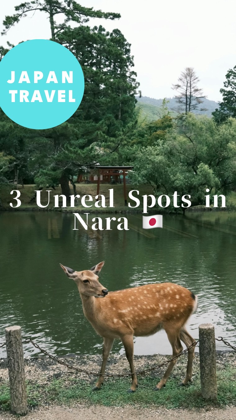 Itsuki / JP Travel Planner, Tōdai-ji