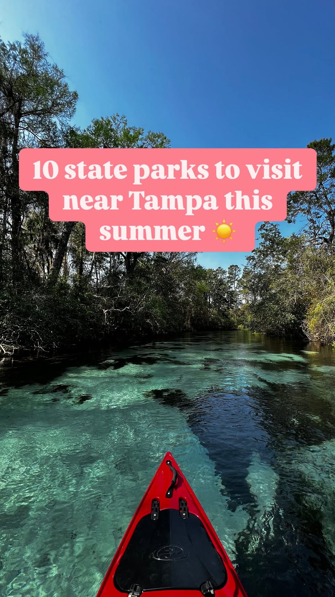 Sarah Phinney, Werner-Boyce Salt Springs State Park
